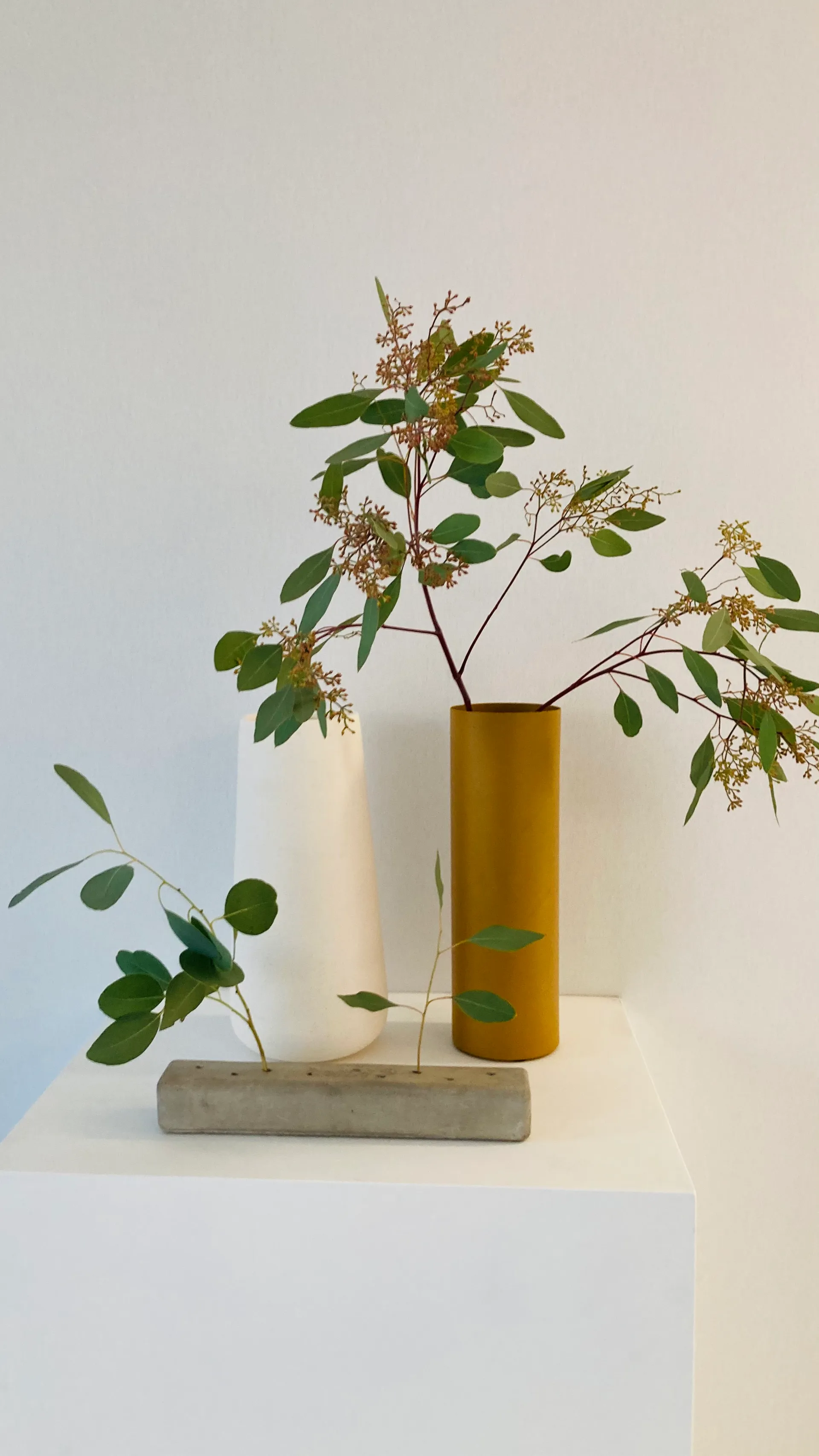 LVMH Dare — Photo 2