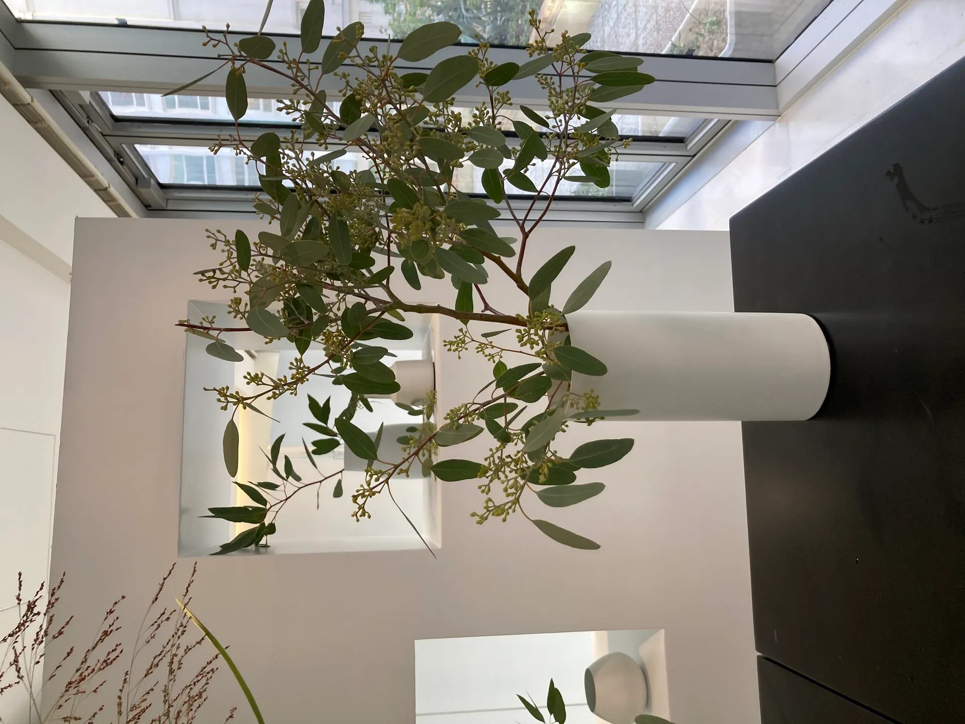 LVMH Dare — Photo 11